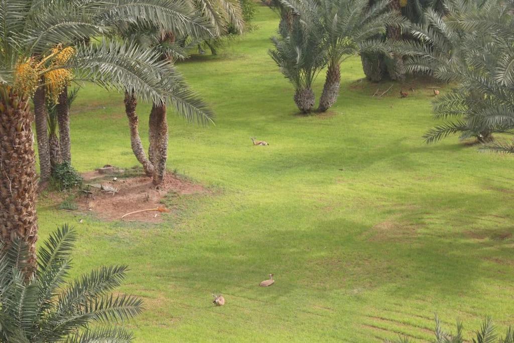 Riad Nolya Luxury Marrakech - Totalement Renove - Capacite Jusqu A 10 Lits Spacieux Marrakesz Zewnętrze zdjęcie