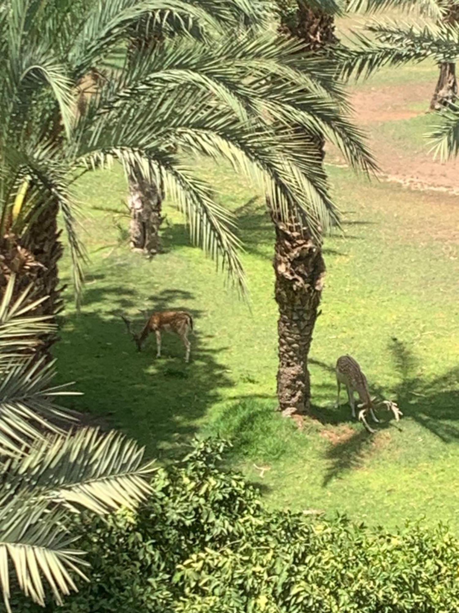 Riad Nolya Luxury Marrakech - Totalement Renove - Capacite Jusqu A 10 Lits Spacieux Marrakesz Zewnętrze zdjęcie
